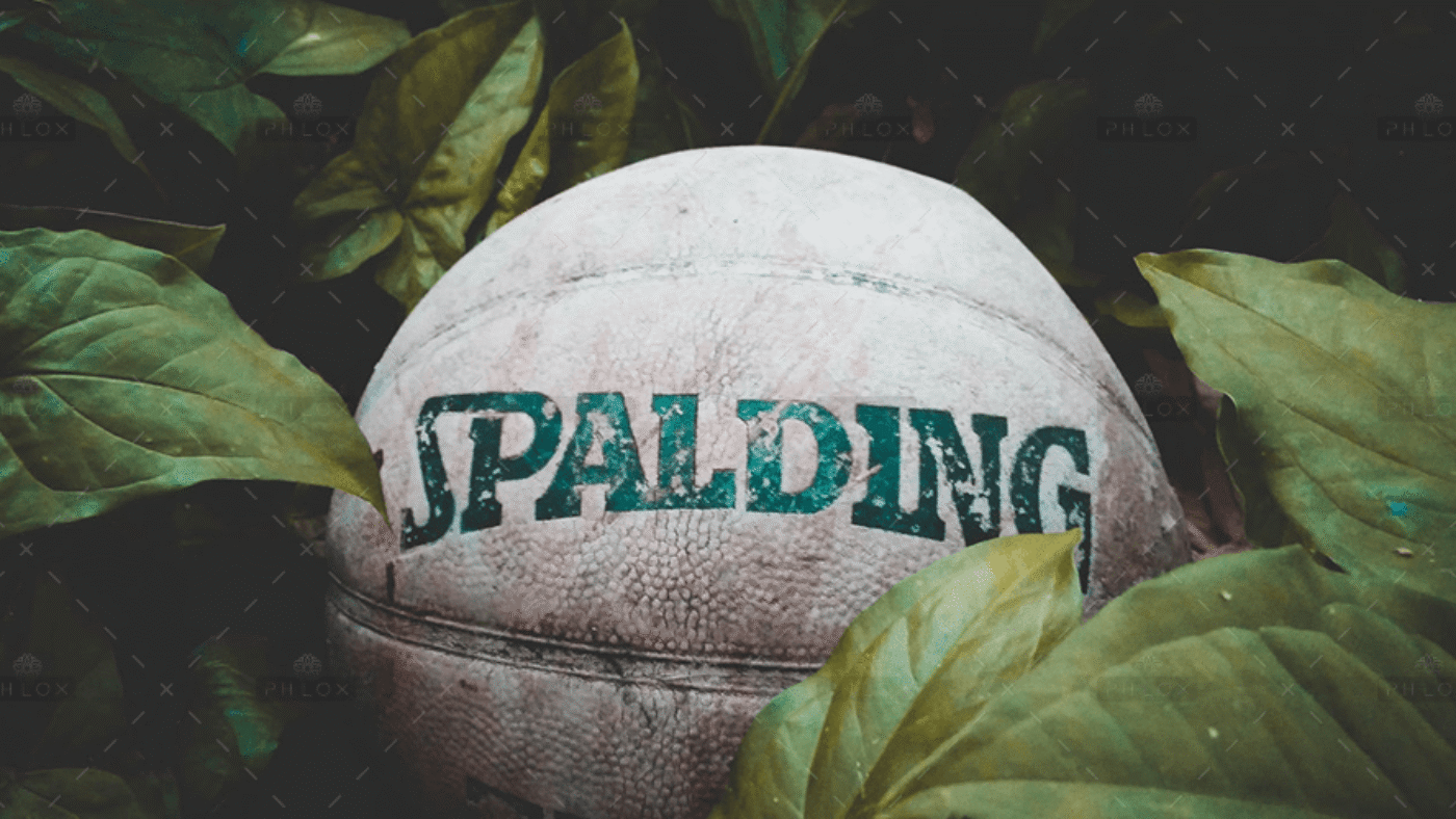 demo-attachment-2405-360f75f38fba3b9c9073013d87325be2